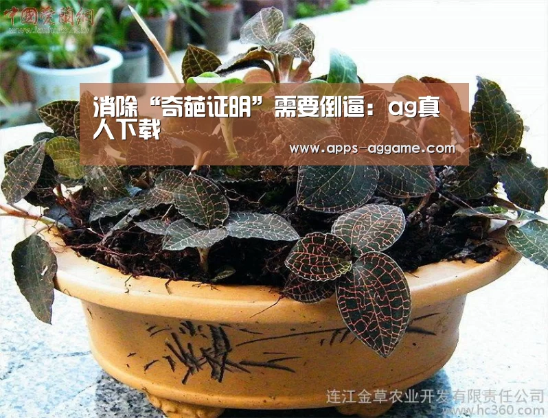 ag真人厅下载