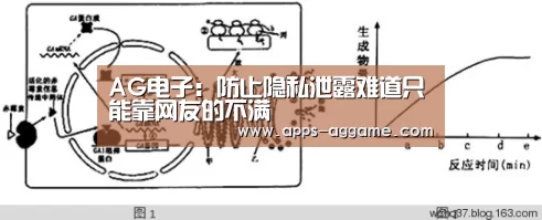 ag真人下载