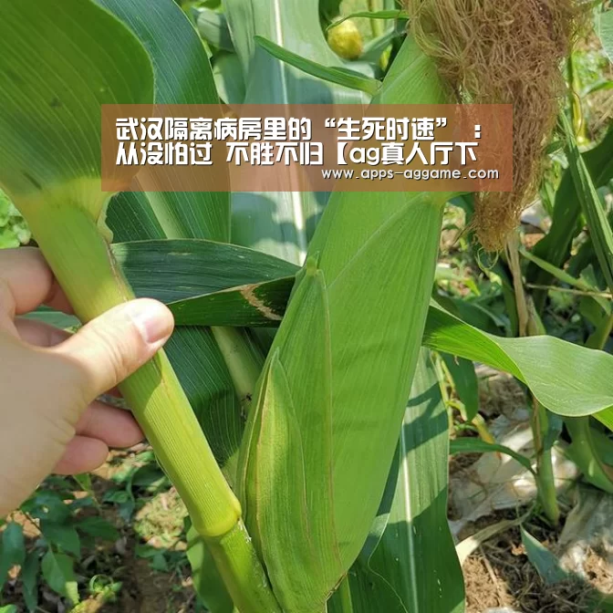 ag真人下载
