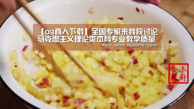 【ag真人下载】全国专家来我校讨论马克思主义理论类本科专业教学质量国家标准