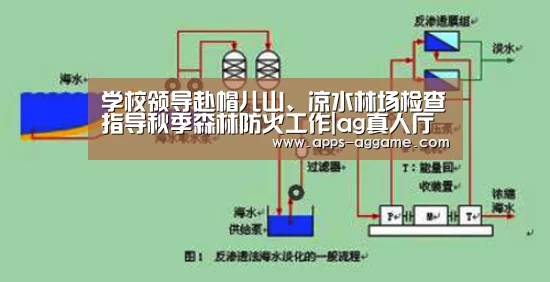ag真人下载